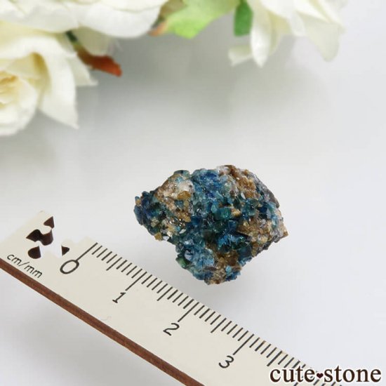 ʥ 桼 ԥåɥ꡼ 饺饤(ŷ)ǥ饤Ȥդ뾽ʸСNo.26μ̿2 cute stone