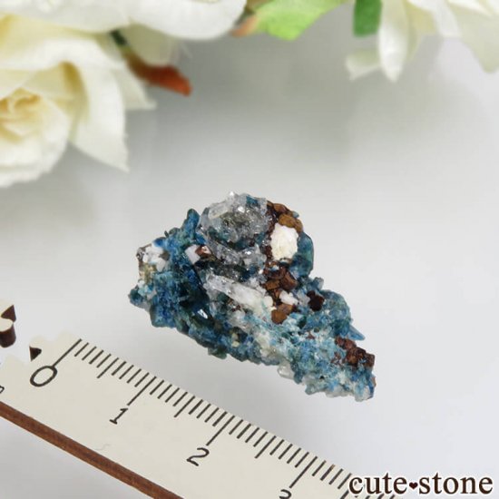 ʥ 桼 ԥåɥ꡼ 饺饤(ŷ)Ĥդ뾽ʸСNo.28μ̿1 cute stone