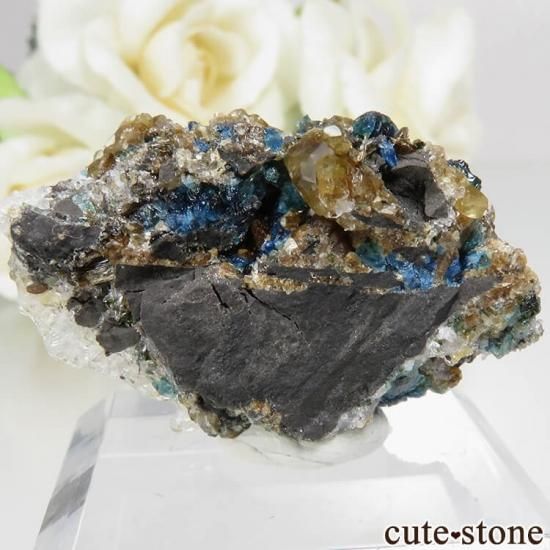 ʥ 桼 ԥåɥ꡼ 饺饤(ŷ)դ뾽ʸСNo.29μ̿0 cute stone