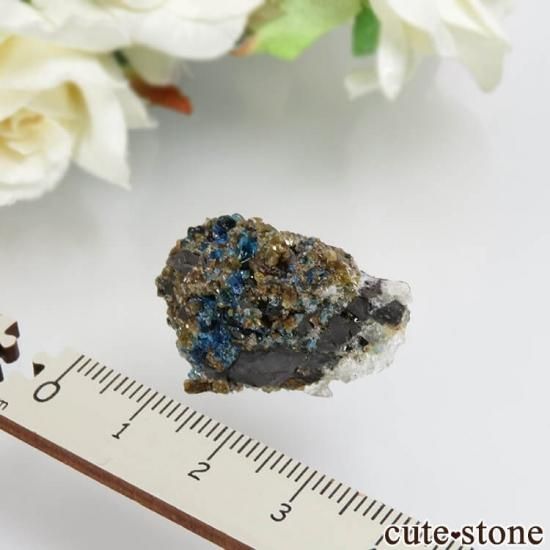 ʥ 桼 ԥåɥ꡼ 饺饤(ŷ)դ뾽ʸСNo.29μ̿1 cute stone