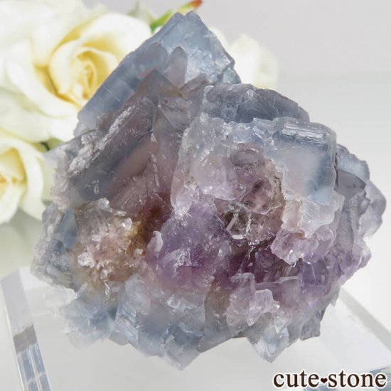 ˥塼ᥭ ӥ󥬥໺ ֥롼ߥѡץե饤Ȥθ No.13μ̿0 cute stone