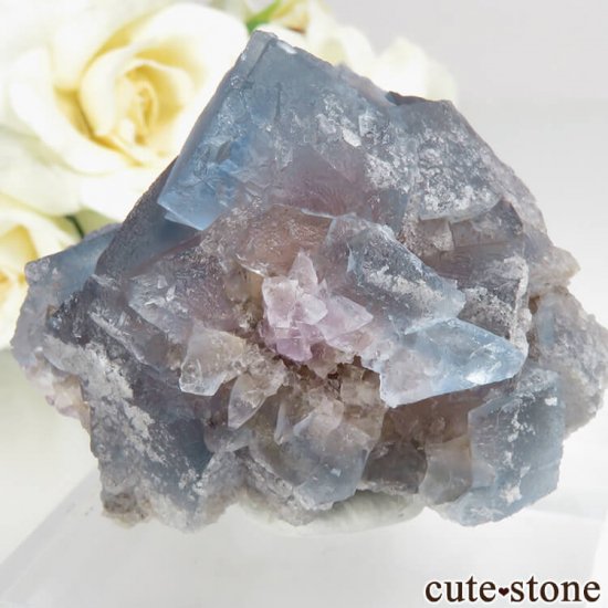 ˥塼ᥭ ӥ󥬥໺ ֥롼ߥѡץե饤Ȥθ No.13μ̿1 cute stone