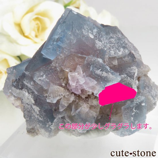 ˥塼ᥭ ӥ󥬥໺ ֥롼ߥѡץե饤Ȥθ No.13μ̿2 cute stone