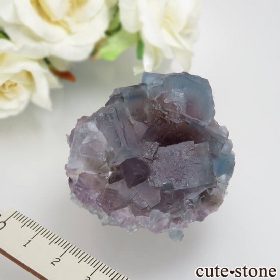 ˥塼ᥭ ӥ󥬥໺ ֥롼ߥѡץե饤Ȥθ No.13μ̿5 cute stone