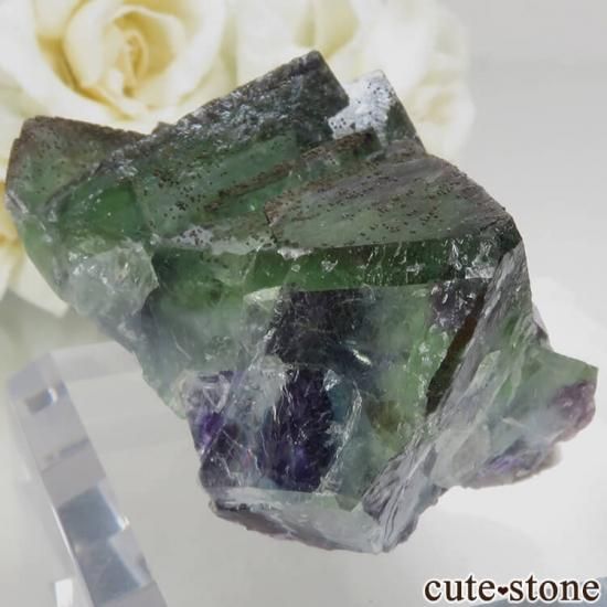 䥪󥷥 ꡼ե饤 No.48μ̿0 cute stone