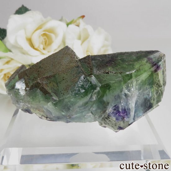 䥪󥷥 ꡼ե饤 No.48μ̿1 cute stone