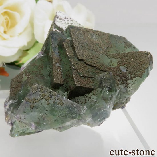 䥪󥷥 ꡼ե饤 No.48μ̿2 cute stone