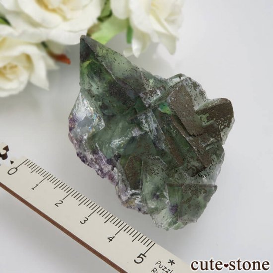 䥪󥷥 ꡼ե饤 No.48μ̿5 cute stone