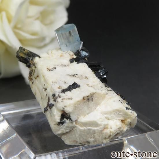 ʥߥӥ 󥴻 ޥ&֥åȥޥ No.34μ̿0 cute stone