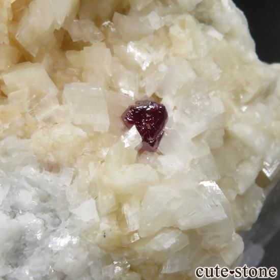 ʻ äʥ󥷥˥ʥСɥޥȤդ No.2μ̿2 cute stone