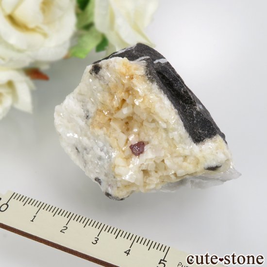 ʻ äʥ󥷥˥ʥСɥޥȤդ No.2μ̿3 cute stone