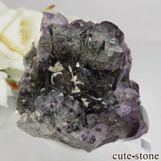 ʥߥӥ Okorusu Mine ꡼ߥѡץե饤ȡȥޥθ No.17μ̿0 cute stone