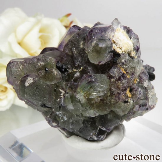 ʥߥӥ Okorusu Mine ꡼ߥѡץե饤ȡȥޥθ No.17μ̿1 cute stone