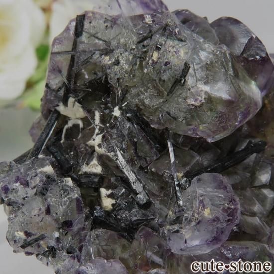 ʥߥӥ Okorusu Mine ꡼ߥѡץե饤ȡȥޥθ No.17μ̿3 cute stone