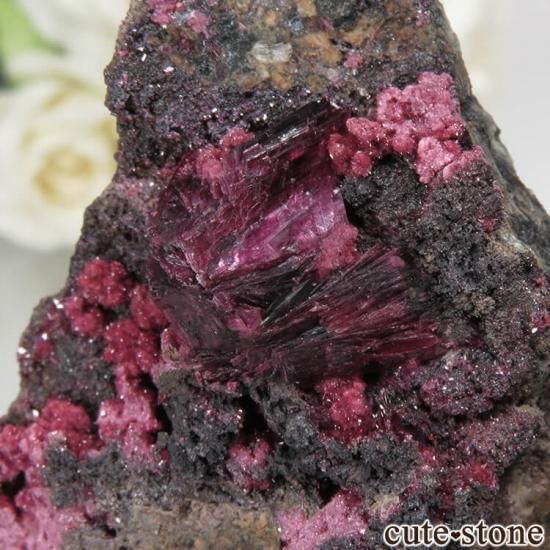 å Bou Azzer ꥹ饤Ȥθ (ʪɸ) No.4μ̿1 cute stone