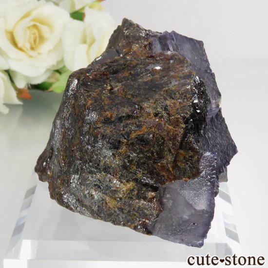 ꥫ ०åɹۻ ѡץ֥롼ե饤ȡե饤 No.40μ̿0 cute stone