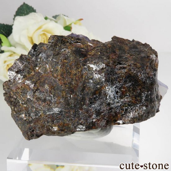 ꥫ ०åɹۻ ѡץ֥롼ե饤ȡե饤 No.40μ̿1 cute stone