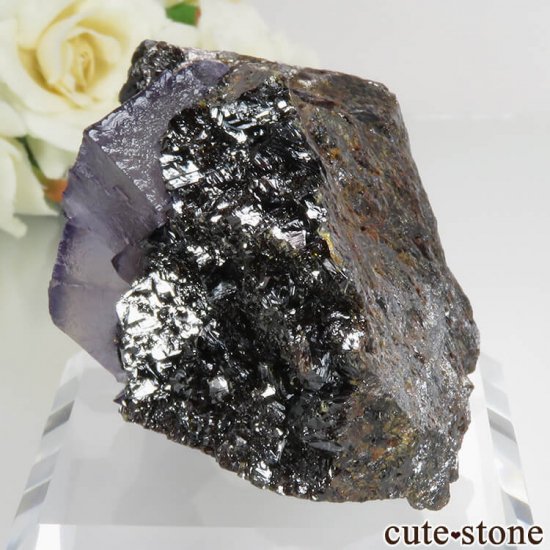 ꥫ ०åɹۻ ѡץ֥롼ե饤ȡե饤 No.40μ̿2 cute stone