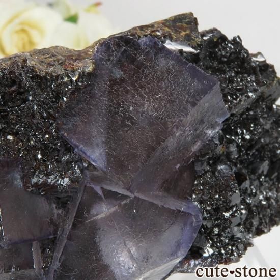 ꥫ ०åɹۻ ѡץ֥롼ե饤ȡե饤 No.40μ̿3 cute stone