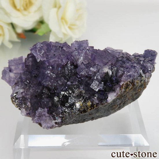 ꥫ ०åɹۻ ѡץ֥롼ե饤ȡե饤 No.41μ̿1 cute stone