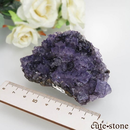 ꥫ ०åɹۻ ѡץ֥롼ե饤ȡե饤 No.41μ̿6 cute stone