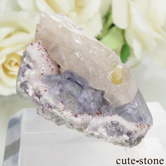 ɥ Dorfel Quarry ֥롼ߥ꡼ե饤&Х饤ȡ No.47μ̿0 cute stone