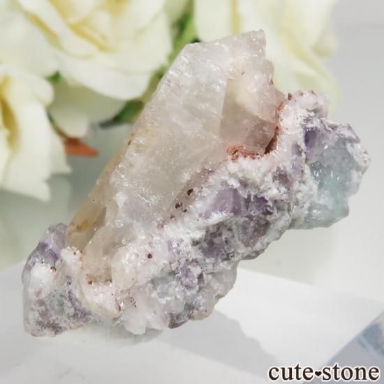 ɥ Dorfel Quarry ֥롼ߥ꡼ե饤&Х饤ȡ No.47μ̿1 cute stone