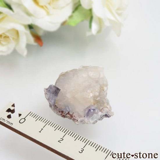 ɥ Dorfel Quarry ֥롼ߥ꡼ե饤&Х饤ȡ No.47μ̿2 cute stone