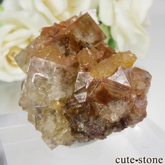 ɥ Dorfel Quarry ե饤ȡ No.48μ̿1 cute stone