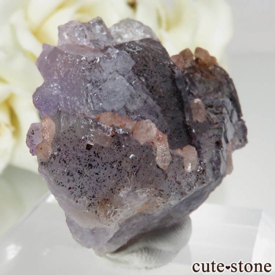 ɥ Dorfel Quarry ѡץߥ꡼ե饤ȡ No.49μ̿0 cute stone