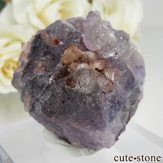 ɥ Dorfel Quarry ѡץߥ꡼ե饤ȡ No.49μ̿1 cute stone