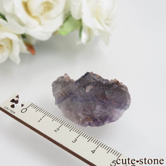 ɥ Dorfel Quarry ѡץߥ꡼ե饤ȡ No.49μ̿2 cute stone