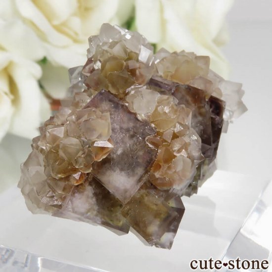 ɥ Dorfel Quarry ߥѡץե饤ȡ No.50μ̿0 cute stone