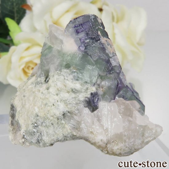 ɥ Dorfel Quarry ֥롼ߥ꡼ե饤ȡ No.53μ̿0 cute stone