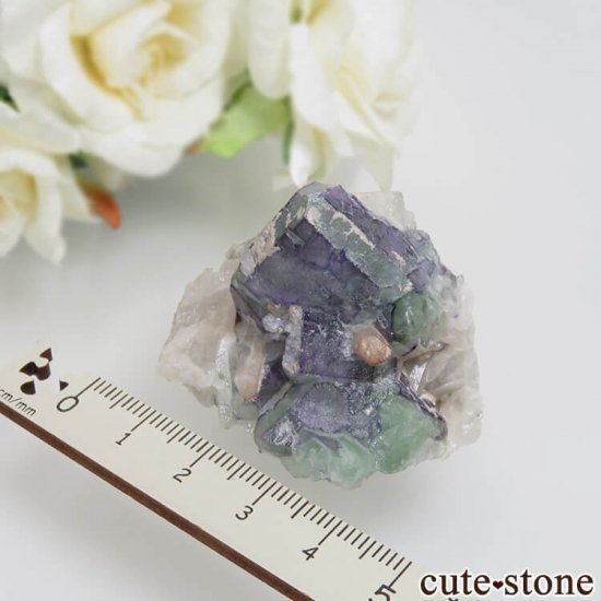 ɥ Dorfel Quarry ֥롼ߥ꡼ե饤ȡ No.53μ̿2 cute stone