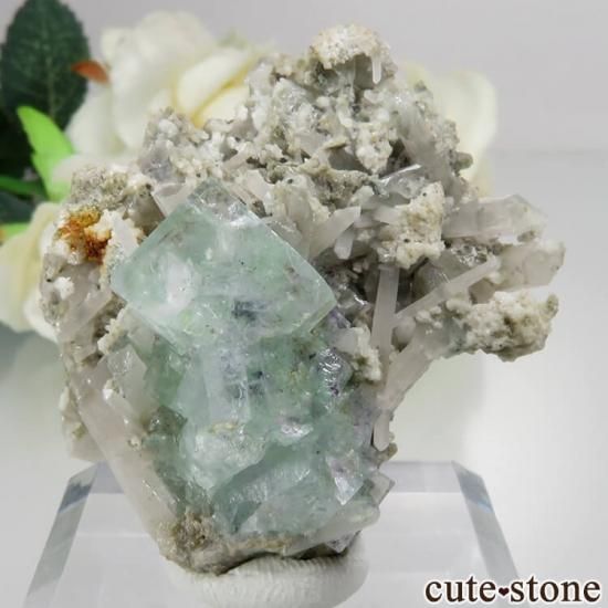 ドイツ Dorfel Quarry産 フローライト No.62 - cute stone -