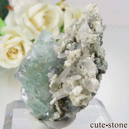 ɥ Dorfel Quarry ꡼ե饤ȡ No.54μ̿1 cute stone