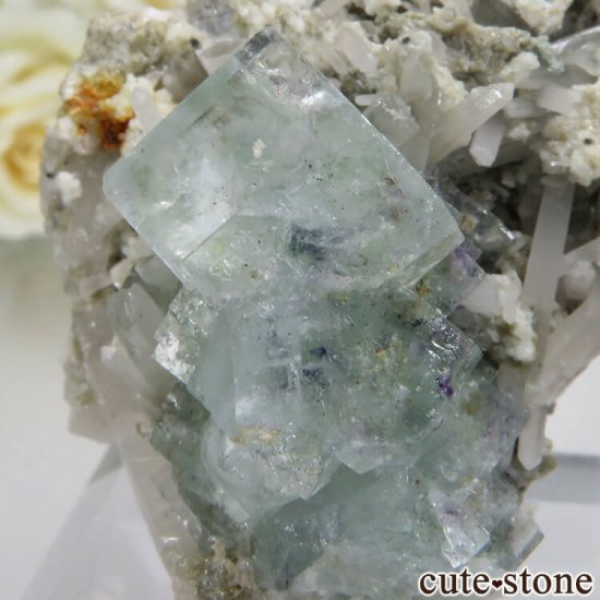 ɥ Dorfel Quarry ꡼ե饤ȡ No.54μ̿2 cute stone