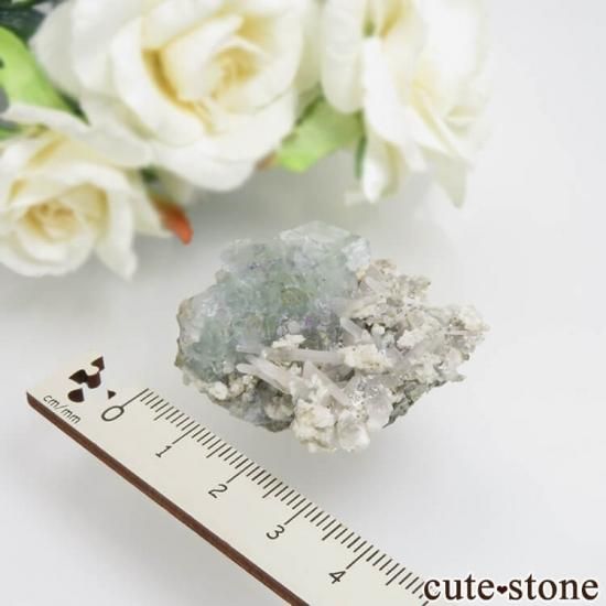 ドイツ Dorfel Quarry産 フローライト No.62 - cute stone -