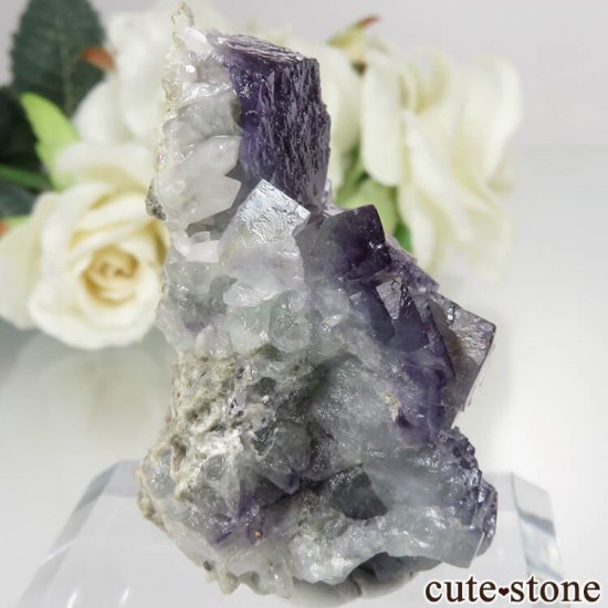 ɥ Dorfel Quarry ѡץߥ֥롼ߥ꡼ߥե饤ȡ No.55μ̿0 cute stone