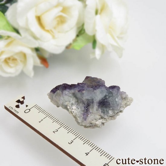ɥ Dorfel Quarry ѡץߥ֥롼ߥ꡼ߥե饤ȡ No.55μ̿5 cute stone