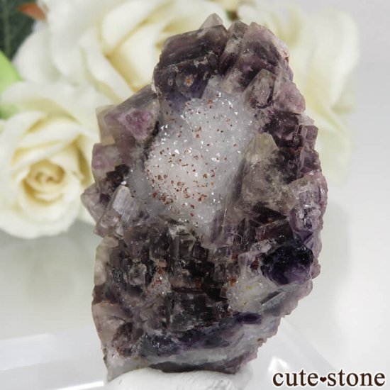 ɥ Dorfel Quarry ߥѡץե饤ȡ No.56μ̿1 cute stone