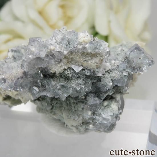 ɥ Dorfel Quarry ꡼ե饤ȡ No.57μ̿1 cute stone