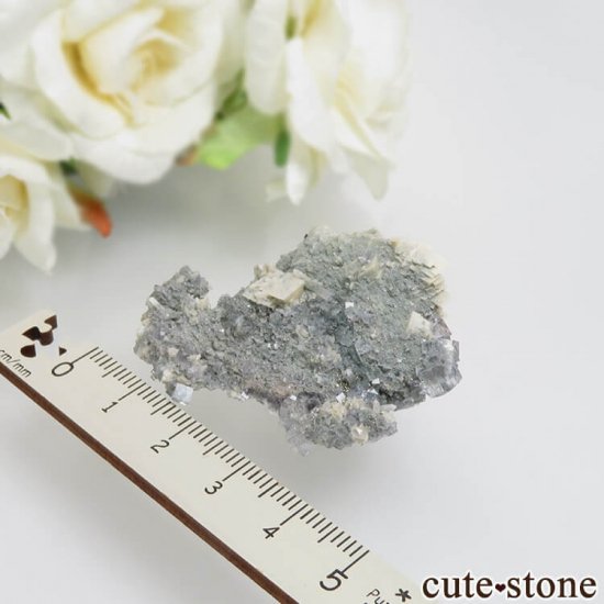 ɥ Dorfel Quarry ꡼ե饤ȡ No.57μ̿2 cute stone