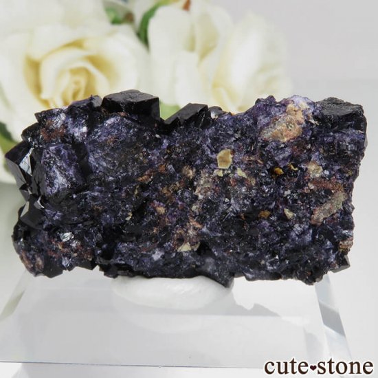 ɥ Zehntausend Ritter Mine ѡץѡץ֥åե饤 No.5μ̿0 cute stone