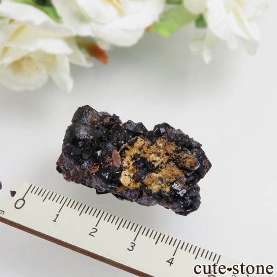 ɥ Zehntausend Ritter Mine ѡץѡץ֥åե饤 No.5μ̿2 cute stone