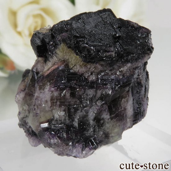 ɥ Zehntausend Ritter Mine ѡץ֥åե饤ȡ No.6μ̿0 cute stone
