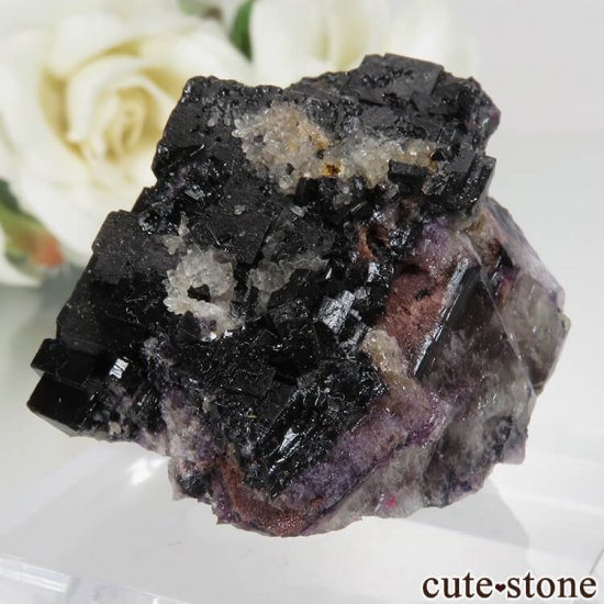 ɥ Zehntausend Ritter Mine ѡץ֥åե饤ȡ No.6μ̿1 cute stone