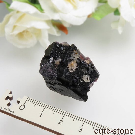 ɥ Zehntausend Ritter Mine ѡץ֥åե饤ȡ No.6μ̿2 cute stone