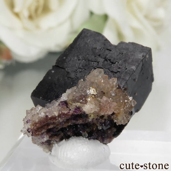 ɥ Zehntausend Ritter Mine ѡץ֥åե饤ȡ No.7μ̿1 cute stone